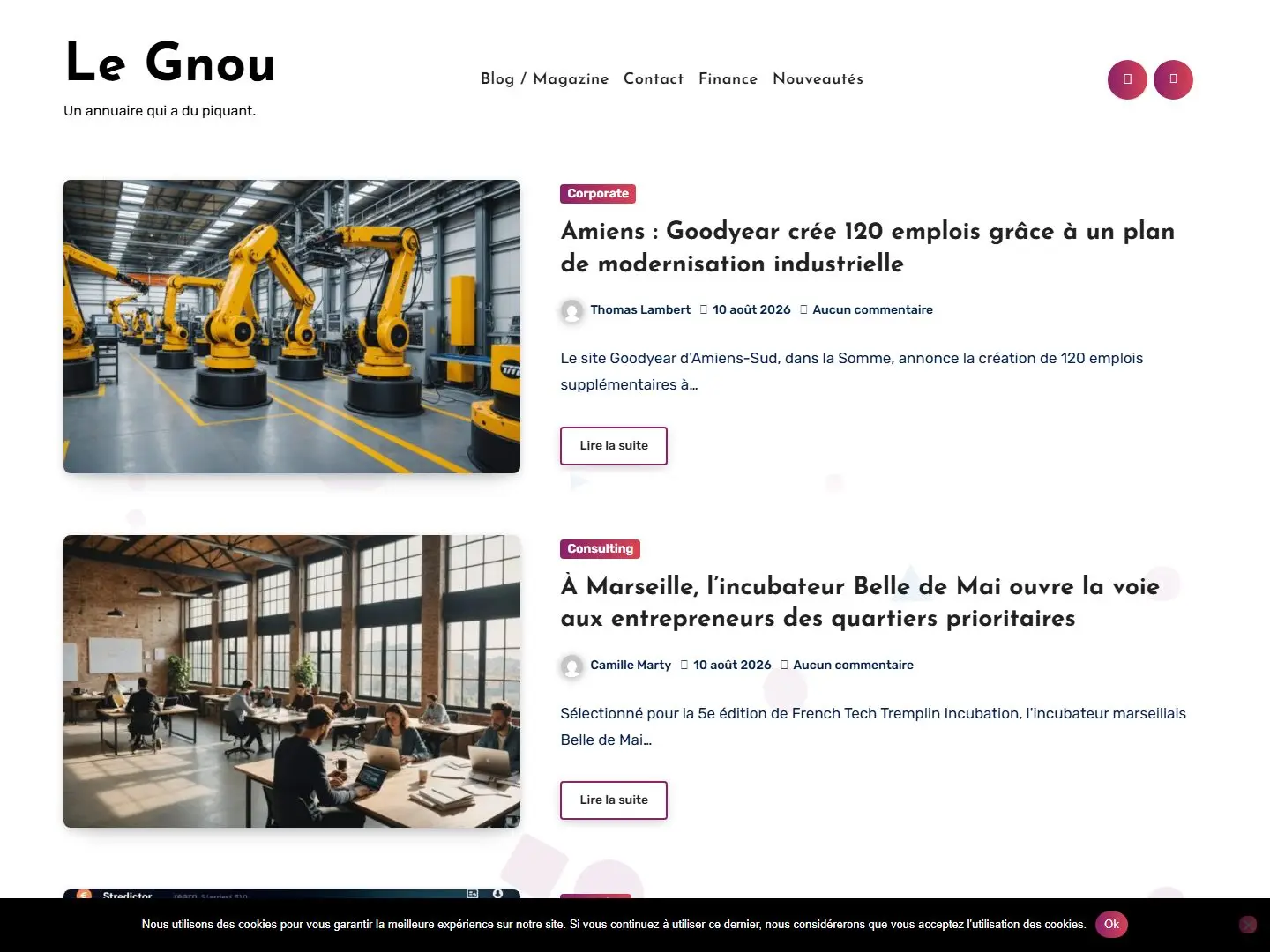 Aperçu de le-gnou.com